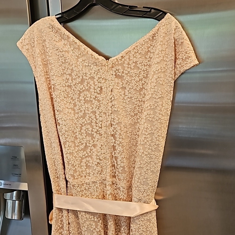 💕TAHARI by ASL💕 Glitter Lace Trim Metallic Ribbon Belted Dress Light Pink 18W - Picture 10 of 14